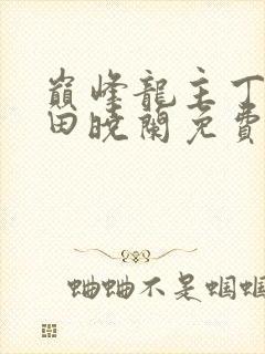 巅峰龙主丁长顺田晓兰免费阅读