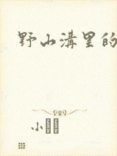 野山沟里的村庄