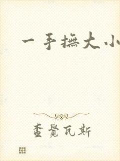 一手抚大小说
