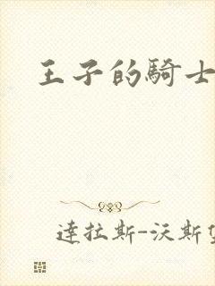王子的骑士