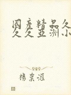 国产精品久久久久久亚洲小说