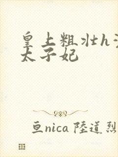 皇上粗壮h灌满太子妃