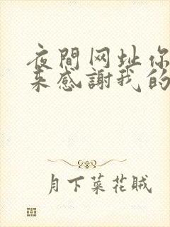 夜间网址你会回来感谢我的