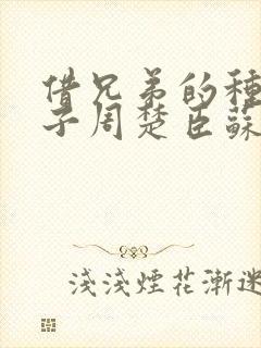 借兄弟的种生孩子周楚臣苏糖