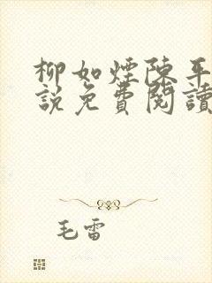 柳如烟陈平安小说免费阅读全文