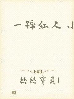 一号红人 小说