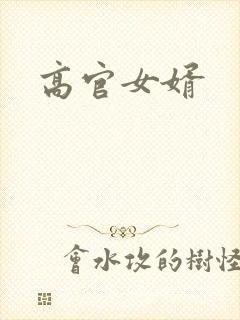 高官女婿