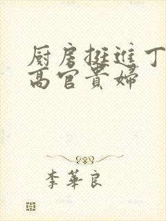 厨房挺进丁字裤高官贵妇