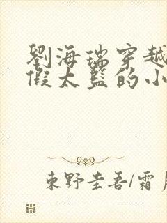 刘海瑞穿越后宫假太监的小说