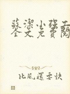 苏洁小强工地情全文免费阅读