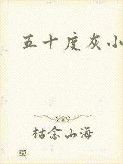 五十度灰小说