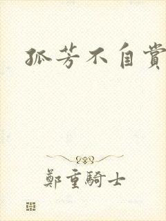 孤芳不自赏小说