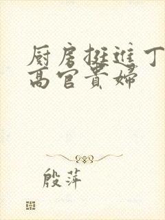 厨房挺进丁字裤高官贵妇