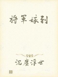 将军嫁到