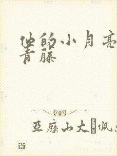 他的小月亮by青藤