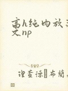 高h纯肉放荡h文np