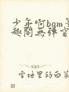 少年啊bgm笔趣阁无弹窗免费