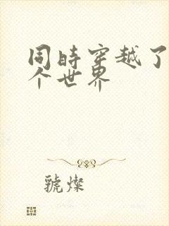 同时穿越了99个世界