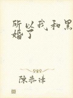 所以我和黑粉结婚了