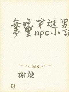 每晚穿进男神的梦里npc小说