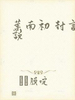 叶南初 封言小说