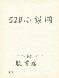 520小说网