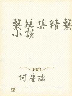 系统集精系统 小说