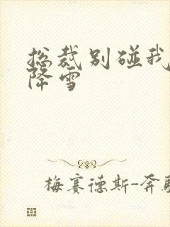 总裁别碰我 韩降雪