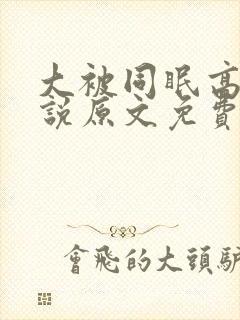 大被同眠高粱小说原文免费阅读