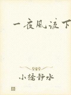 一夜风流下载