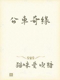 公车奇缘