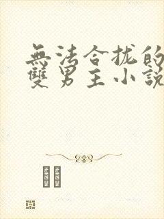 无法合拢的总裁双男主小说