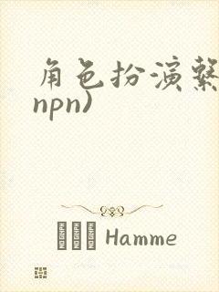 角色扮演系统(npn)