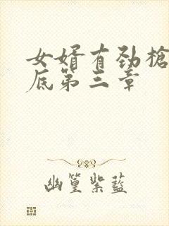 女婿有劲枪枪到底第三章