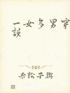 一女多男穿越小说