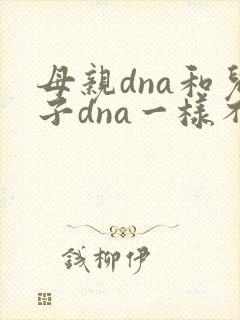 母亲dna和儿子dna一样不