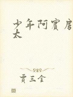 少年阿宾房东太太