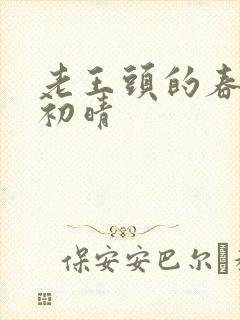 老王头的春天林初晴