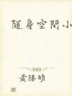 随身空间小说