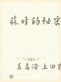 苏晴的秘密小说