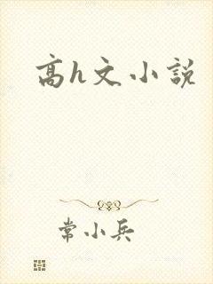 高h文小说