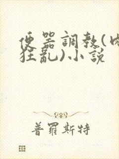 便器调教(肉体狂乱)小说