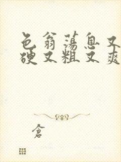 色翁荡息又大又硬又粗又爽