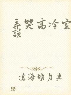 弄哭高冷室友小说