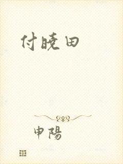 付晓田