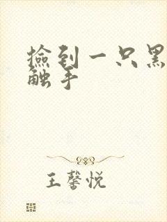 捡到一只黑心小触手