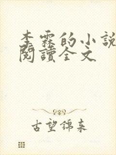 李霖的小说免费阅读全文