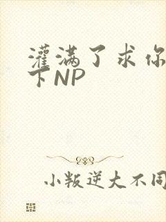 灌满了求你们停下NP