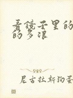 看镜子里的你叫的多浪