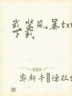 武装风暴txt下载